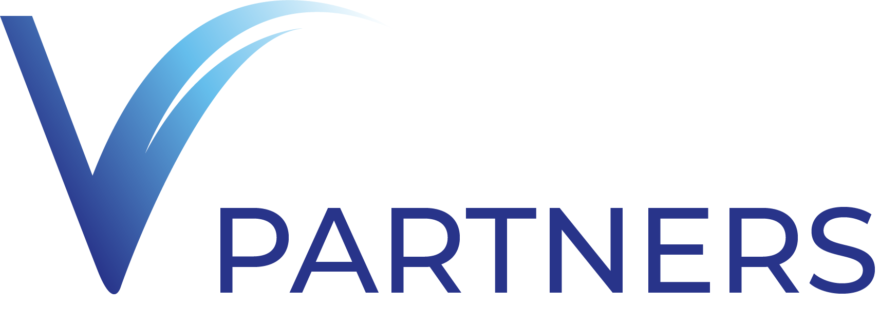 V Partners
